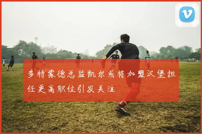 多特蒙德总监凯尔或将加盟汉堡担任更高职位引发关注