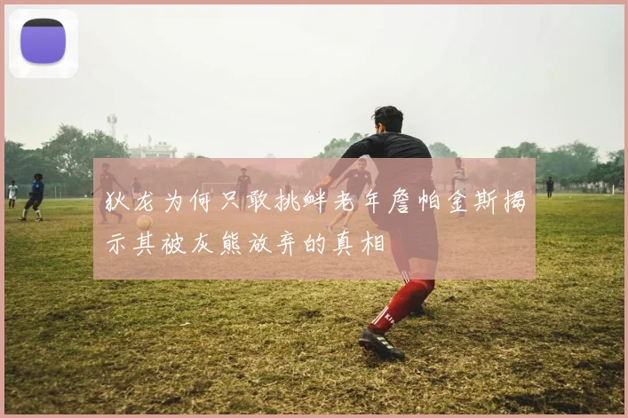 狄龙为何只敢挑衅老年詹帕金斯揭示其被灰熊放弃的真相